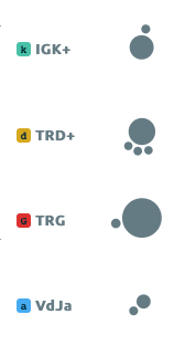 The Vidjil algorithm processes
     sequences recombined on the TRA/D, TRB, TRG, IGH, IGK and IGL locus,
     possibly with some incomplete/unusal recombinations such as Dh-Jh, Intron-KDE or Dd2-Dd3.